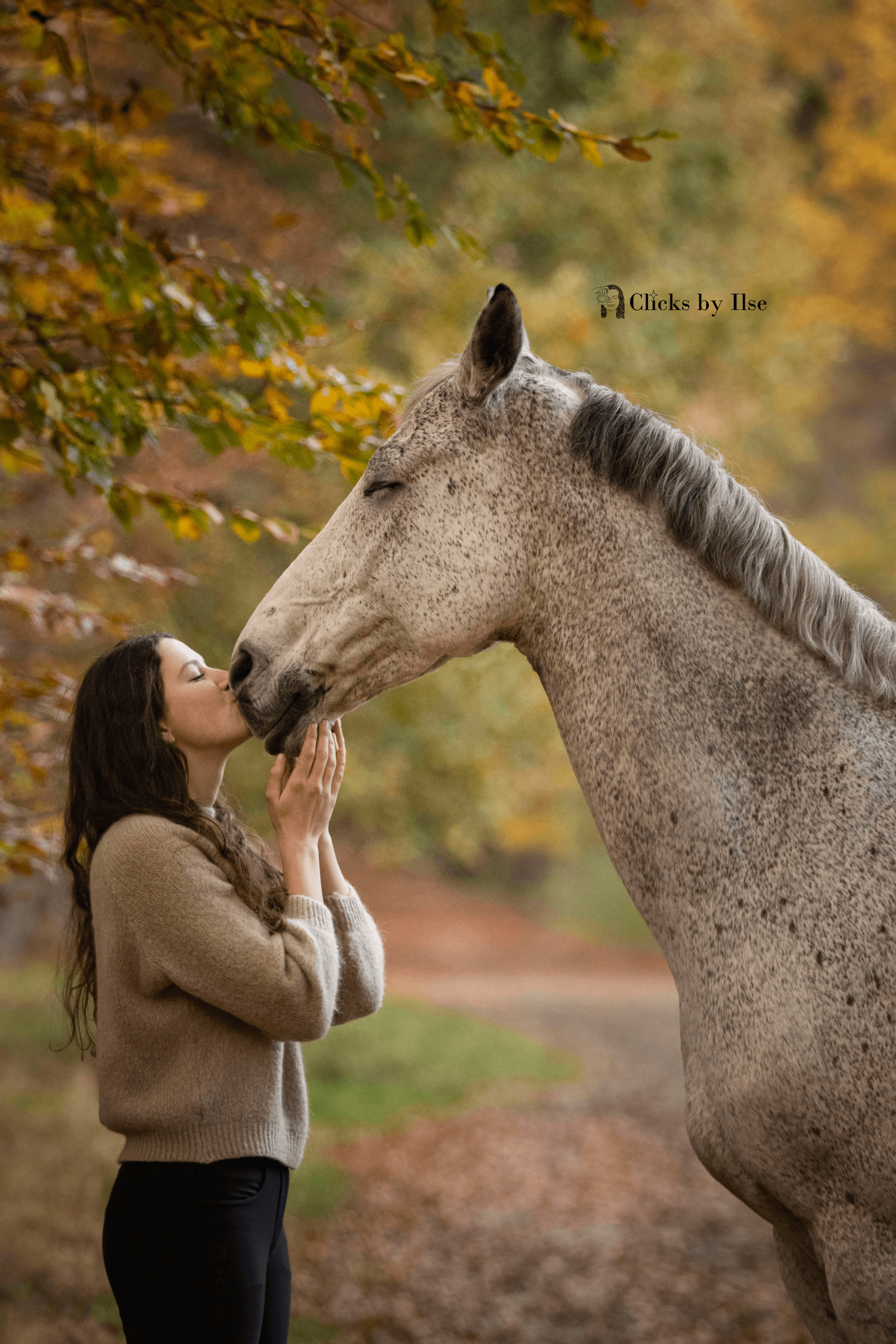 pippi with her horse