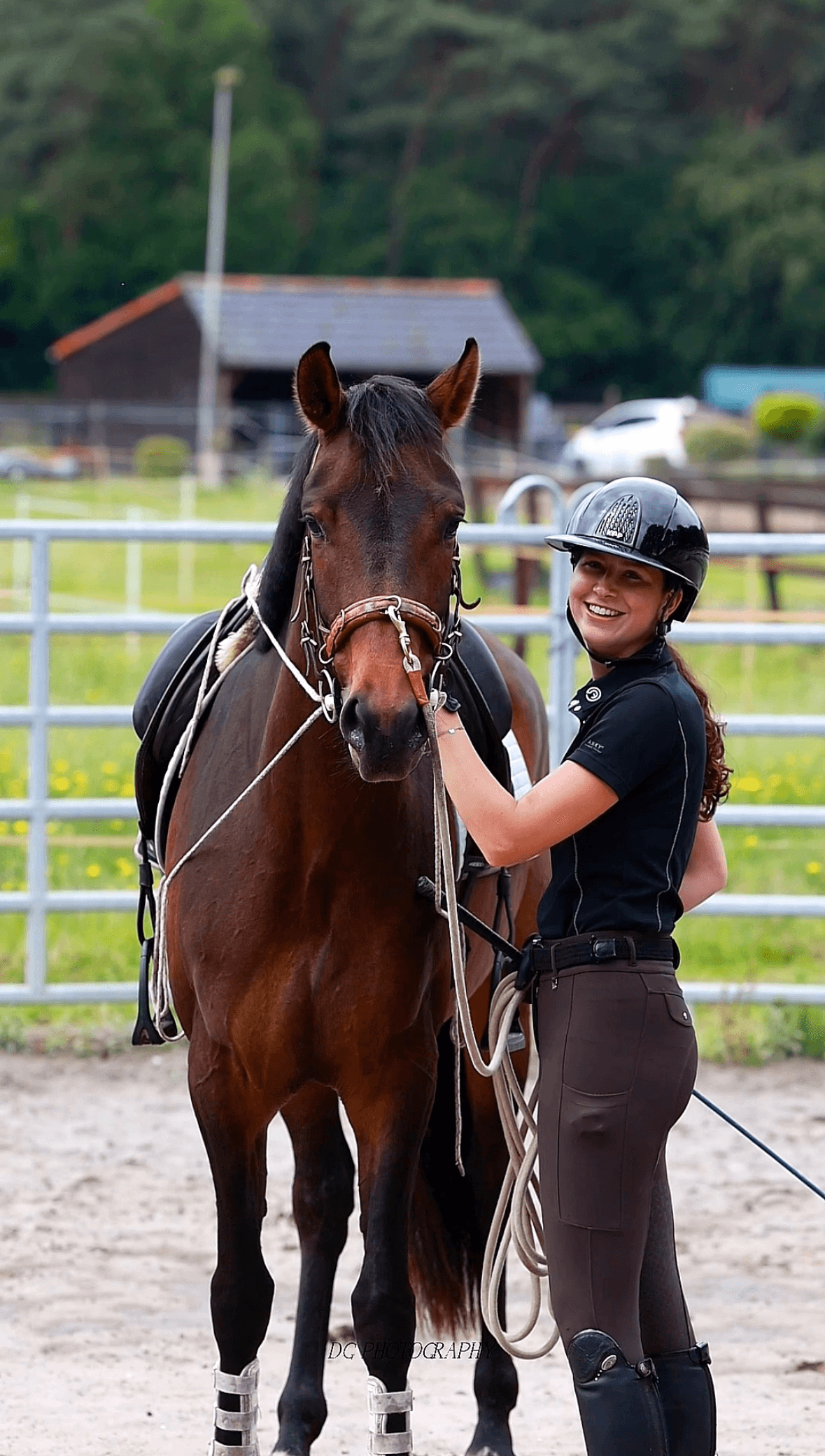 pippi with her horse