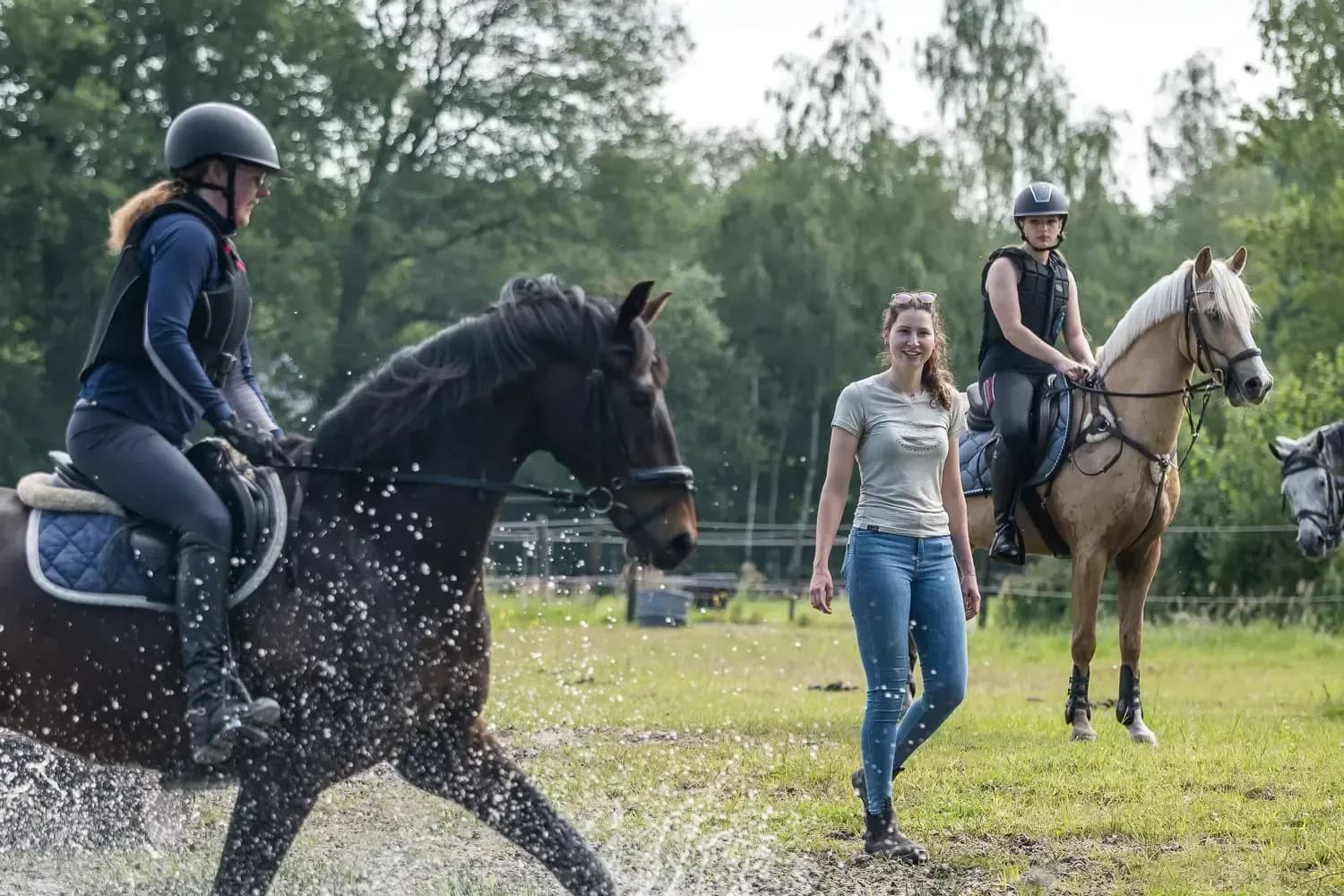 Pippi with her horses